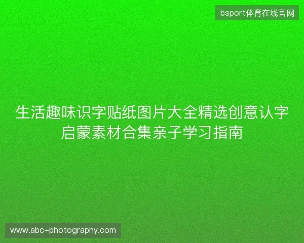 生活趣味识字贴纸图片大全精选创意认字启蒙素材合集亲子学习指南